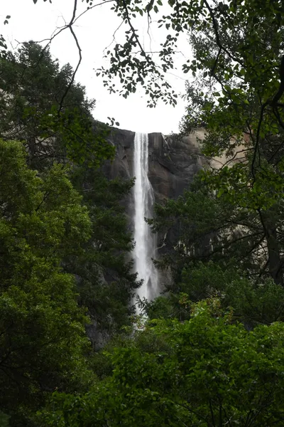 DSC_4597 (Large).JPG